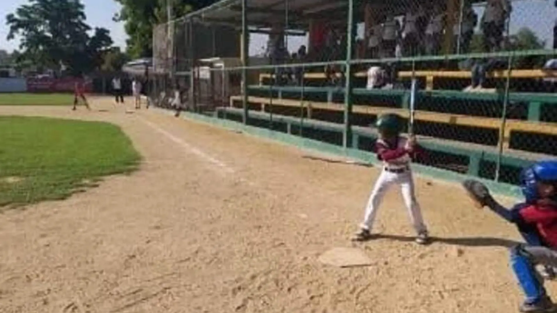 beisbol - infantil